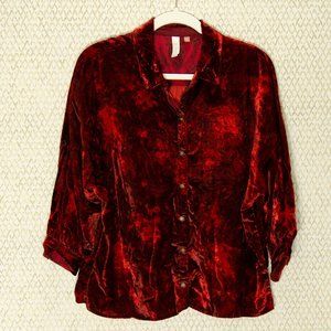 Pilcro Velvet Buttondown